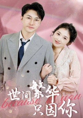 世间繁华只因你短剧全集