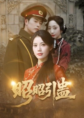 昭昭引蛊全集
