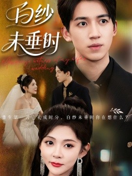 老婆婚礼我当证婚人 白纱未垂时全集