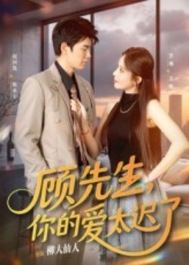 顾先生，你的爱太迟了全集