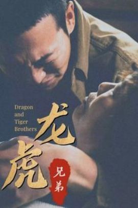 龙虎兄弟国语全集