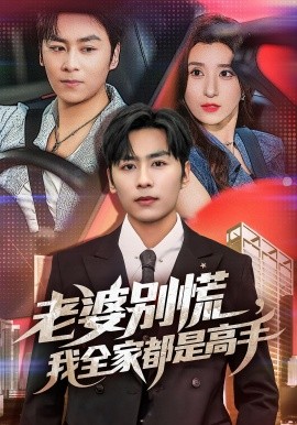 老婆别慌我全家都是高手全集