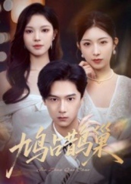 鸠占鹊巢 顶流夫人的致命陷阱全集