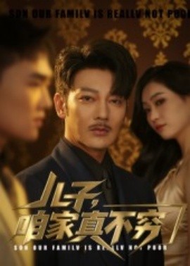 儿子，咱家真不穷全集