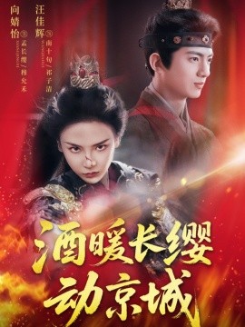 酒暖长缨动京城全集
