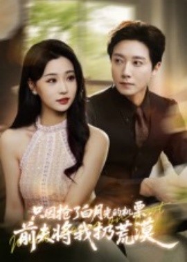 只因抢了白月光的机票，前夫将我扔荒漠全集