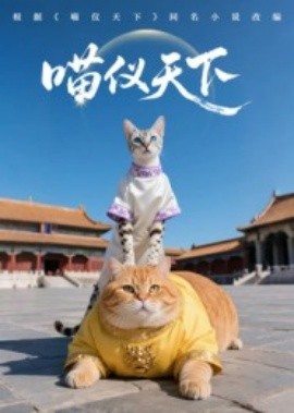 喵仪天下第一季全集