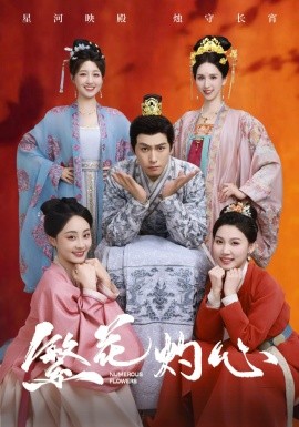 繁花灼心全集