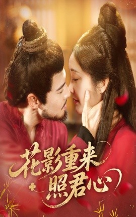 花影重来照君心全集