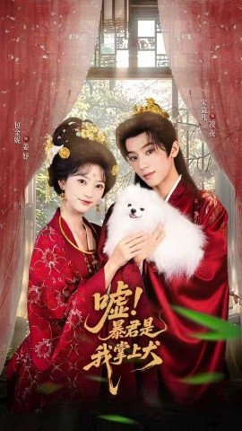 嘘暴君是我掌上犬 废妃逆袭陛下借宠识真心全集