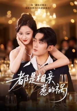 都是相亲惹的祸全集