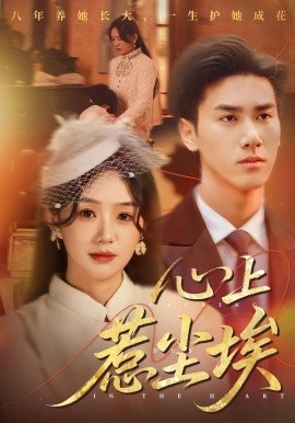 心上惹尘埃全集