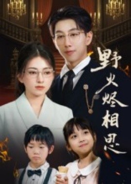 野火烬相思全集