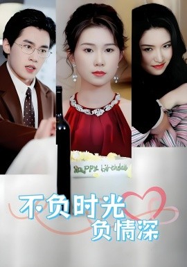 不负时光负情深全集