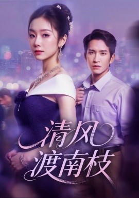 清风渡南枝全集