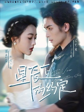 星辰下的约定全集