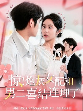 惊！炮灰女配和男二喜结连理了全集