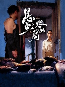 悬鱼：她的局全集