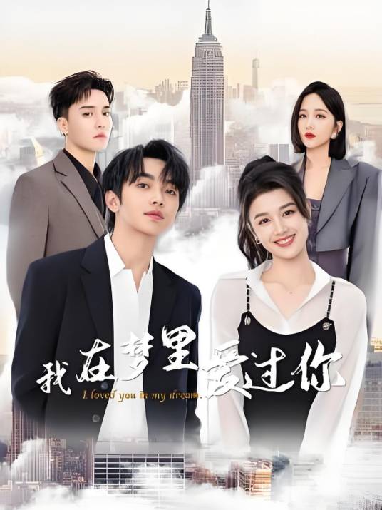 我在梦里爱过你全集