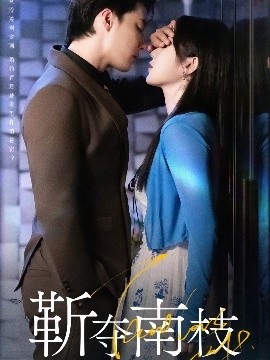靳夺南枝 甜欲肆吻全集