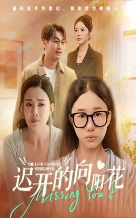 迟开的向阳花全集