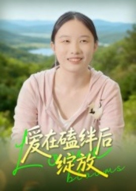 爱在磕绊后绽放全集