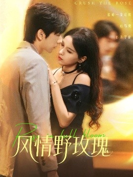 风情野玫瑰 揉碎玫瑰全集