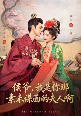 侯爷，我是你那素未谋面的夫人啊全集