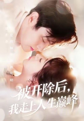 被开除后我走上人生巅峰全集