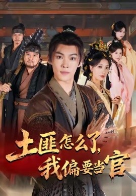 土匪怎么了，我偏要当官全集