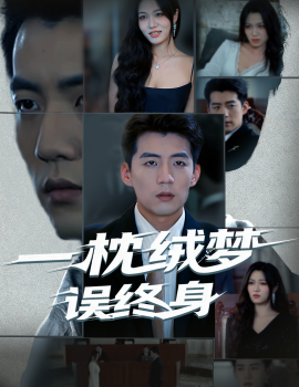 一枕绒梦误终身全集