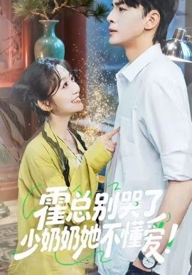 霍总别哭了少奶奶她不懂爱全集