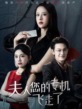 夫人您的专机飞走了全集