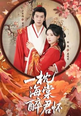 一枕海棠醉君怀全集