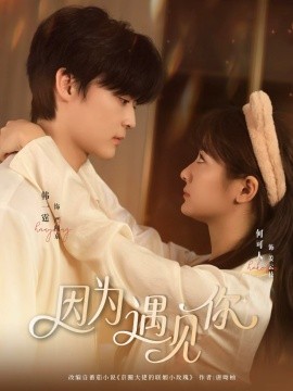 因为遇见你短剧全集