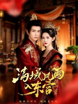 满城风雨入东宫全集