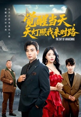 觉醒当天天灯照我来时路全集