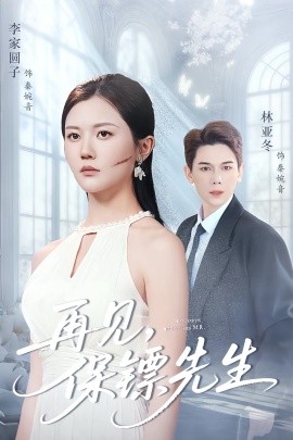 再见保镖先生 保镖先生我不要你了全集