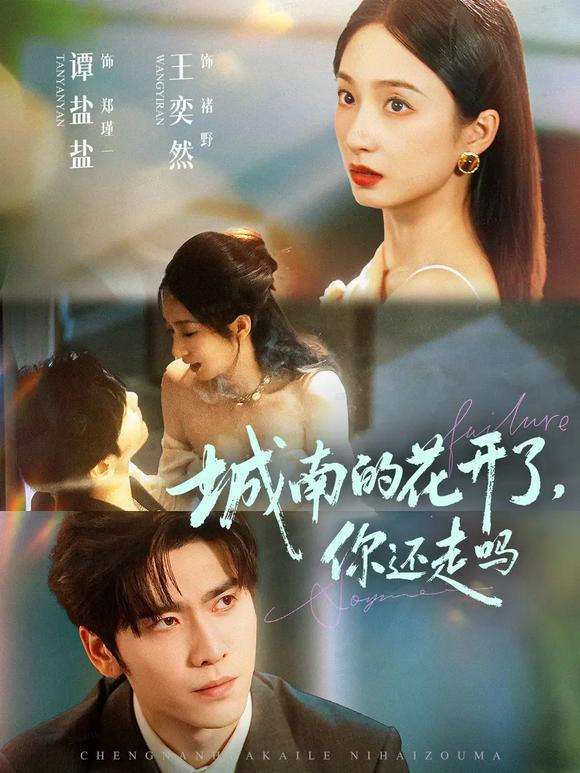 城南的花开了，你还走吗全集