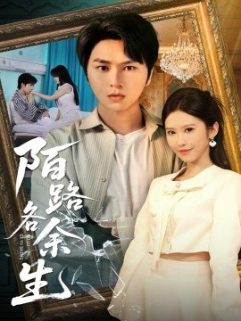 陌路各余生全集