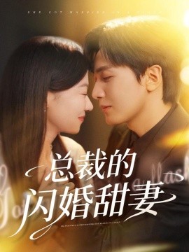 总裁的闪婚甜妻全集
