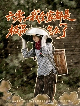 六零，我全家都是极品怎么了全集