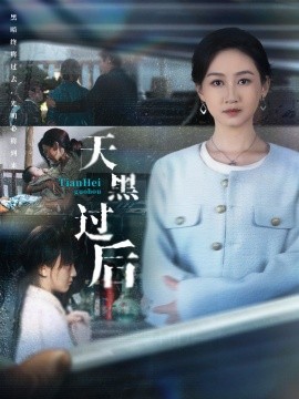 天黑过后全集