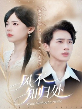 风不知归处全集