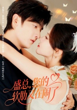 盛总，您的软肋又在闹了全集