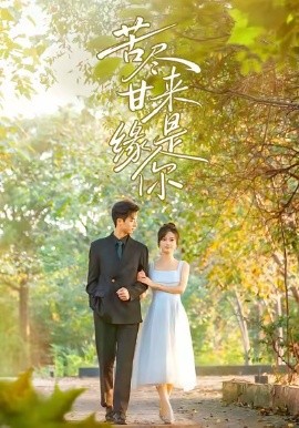 苦尽甘来缘是你全集