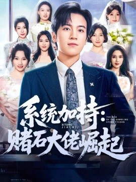 统加持：赌石大佬崛起 少年赌神：从原石到顶流全集