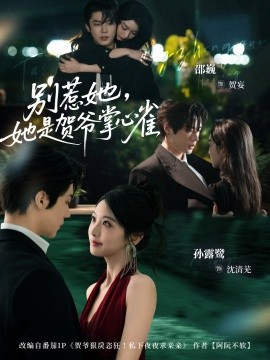 别惹她，她是贺爷掌心雀全集