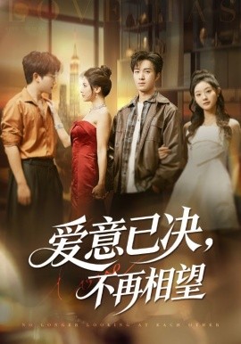 爱意已决不再相望全集
