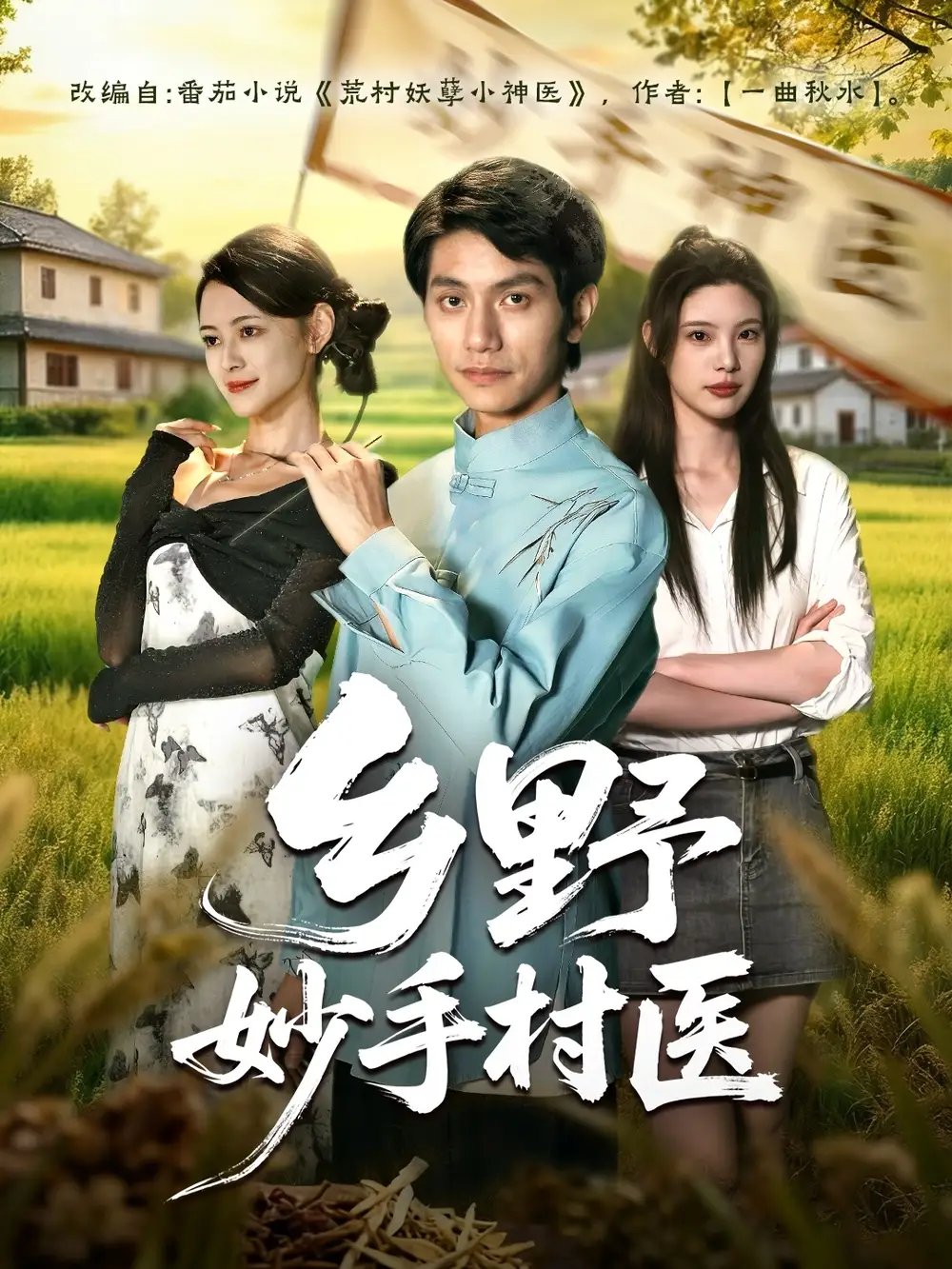 乡野妙手村医全集